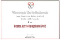 2nd Best Show Dog Toy Breeds Austria 2012 + No. 2 Chinese Crested Austria 2012