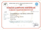 Beauty Championship Turkey