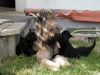 zabou-g46-002-120502