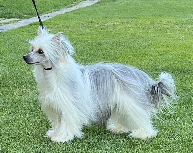 Foto Mamacita