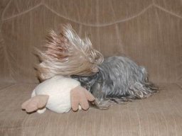 gizmo304