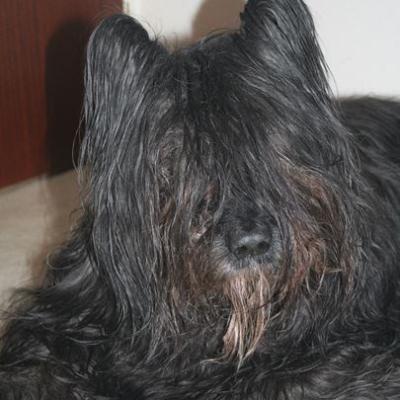 Akira 20070130 07