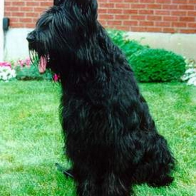 Chloe080800 5