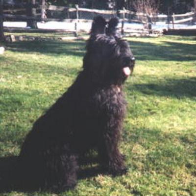 Chloe142 120400