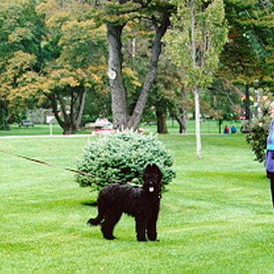 Chloe78
