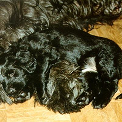 Batida32