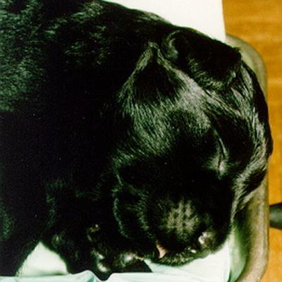 Batida6