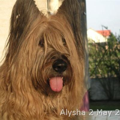 Alysha 020504 02