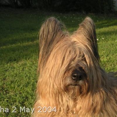 Alysha 020504 03