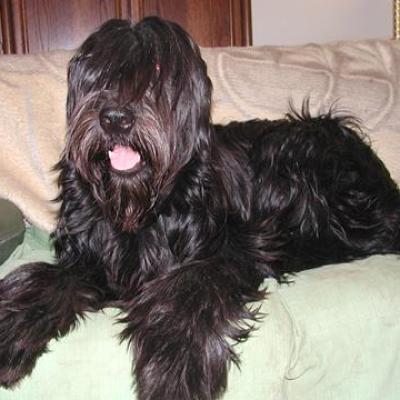 Bisou02360