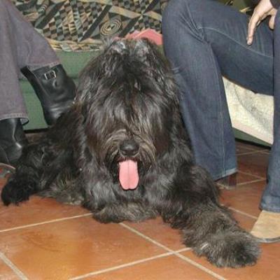 Lara022