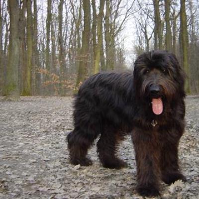 05 Gus 17 03 2003360