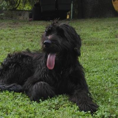 Gus040360