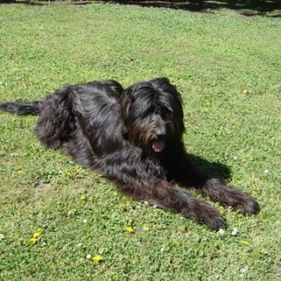 Gus040503 05360