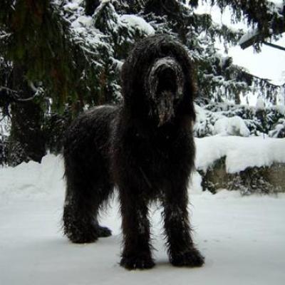 Gus050104 02360
