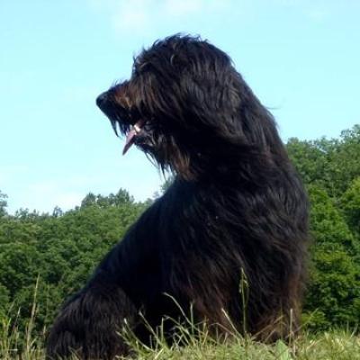 Gus0703 03360