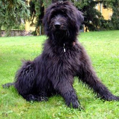 Gus10 2002 04