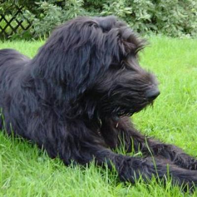 Gus10082002 2360