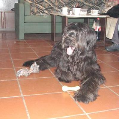 Gus281202 03360