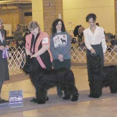 Romeocou180201 1