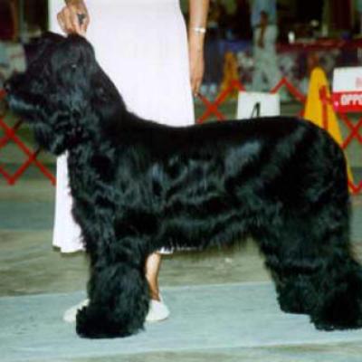 Cou090700 4