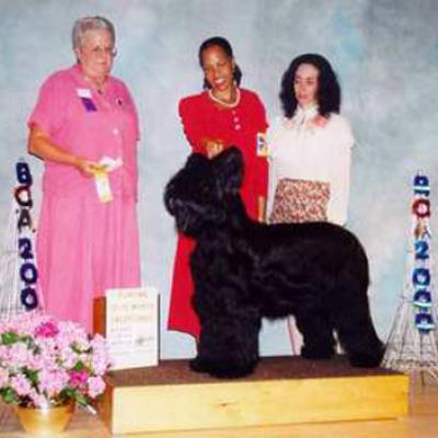 Cou100800 01