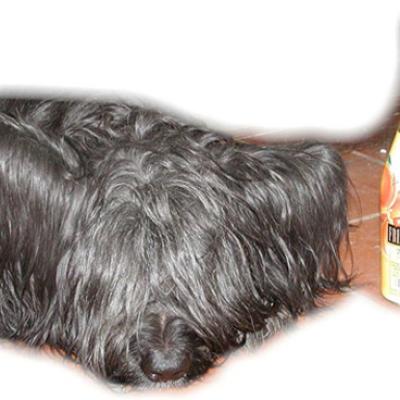 Frizzy436 Ausschnitt