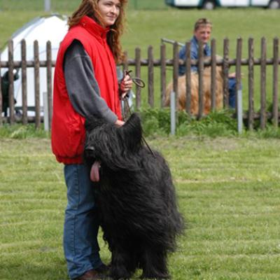 Frizzy486