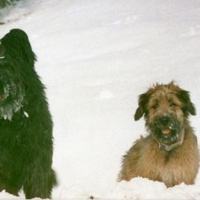Winter2009 2
