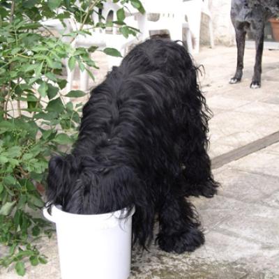 Beim Trinken