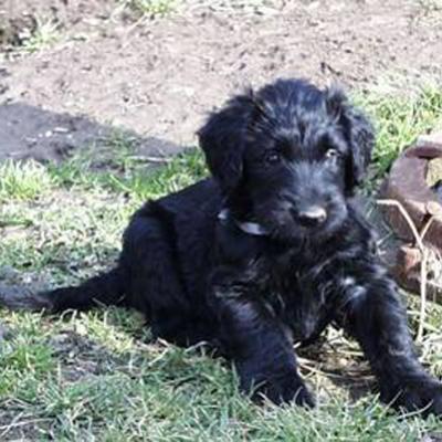 F 4 022