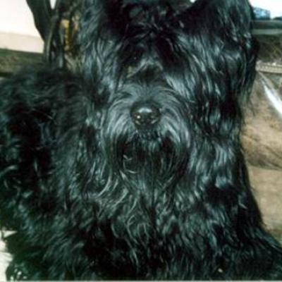 Miro014