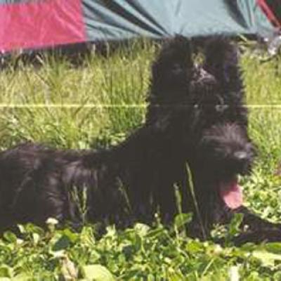 Miro3
