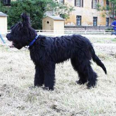 Falco020601 0051