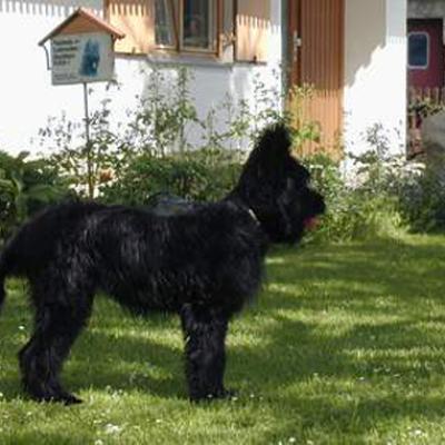 Fleury200501 005