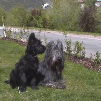 Fleury230401 11
