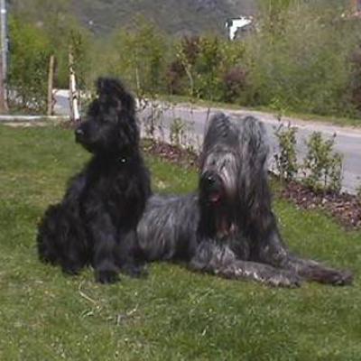 Fleury230401 2