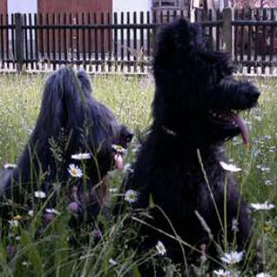 Fleurynoun280501 3
