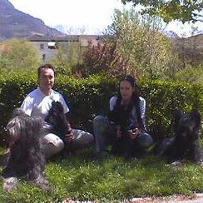 Nounfleuryfalcones02