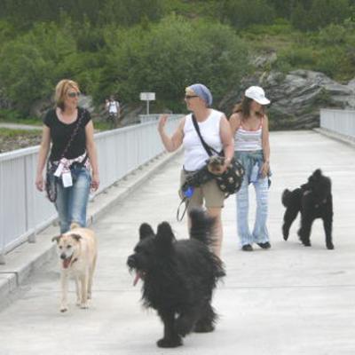 Ferri Juni2006 04