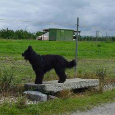 Ferri010802 07