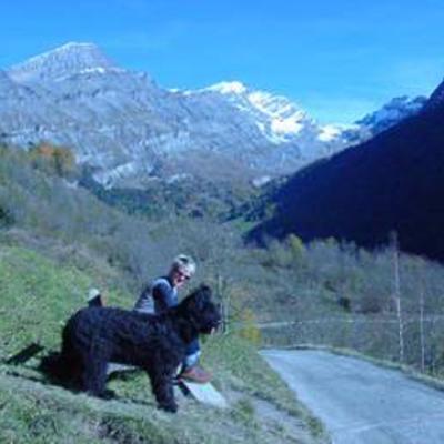 Ferri028