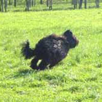 Ferri091201 02