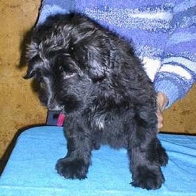 F 8 029