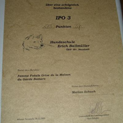 Ipo 3