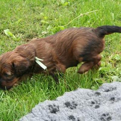 K1 029