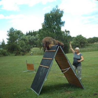 Grisu 20070623 01