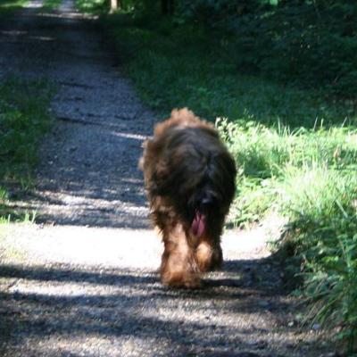 Courage 20070714 05