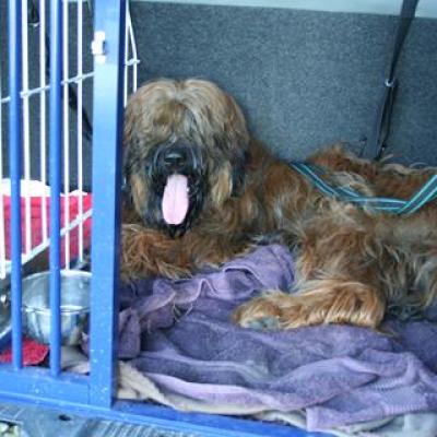 Courage 20070714 10