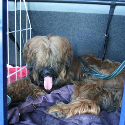 Courage 20070714 12